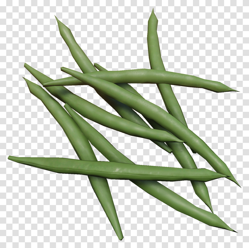 Miscreated Wiki Green Bean, Plant, Vegetable, Food, Produce Transparent Png