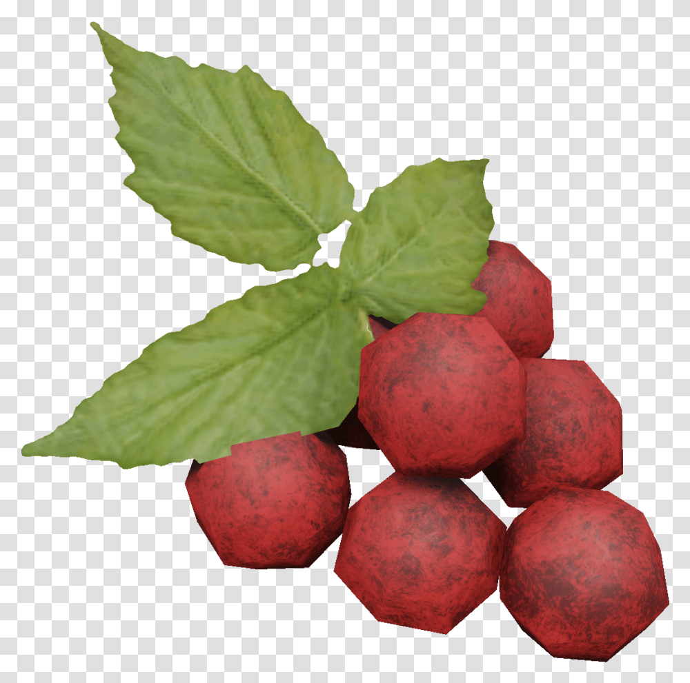 Miscreated Wiki Seedless Fruit, Plant, Leaf, Food, Sphere Transparent Png