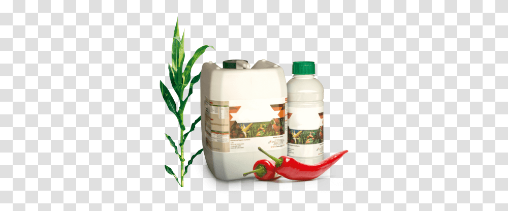 Mision Food, Plant, Vegetable, Mixer, Herbal Transparent Png