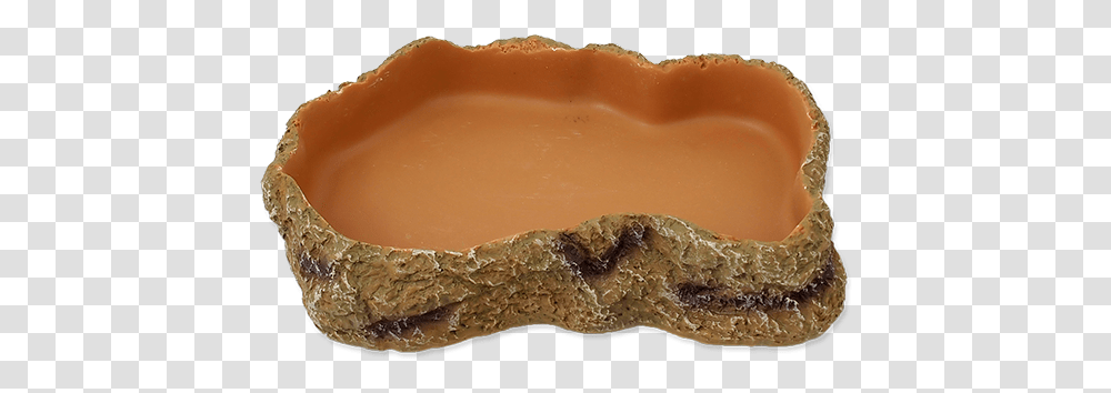 Miska Na Krmen Repti Planet, Birthday Cake, Dessert, Food, Soil Transparent Png