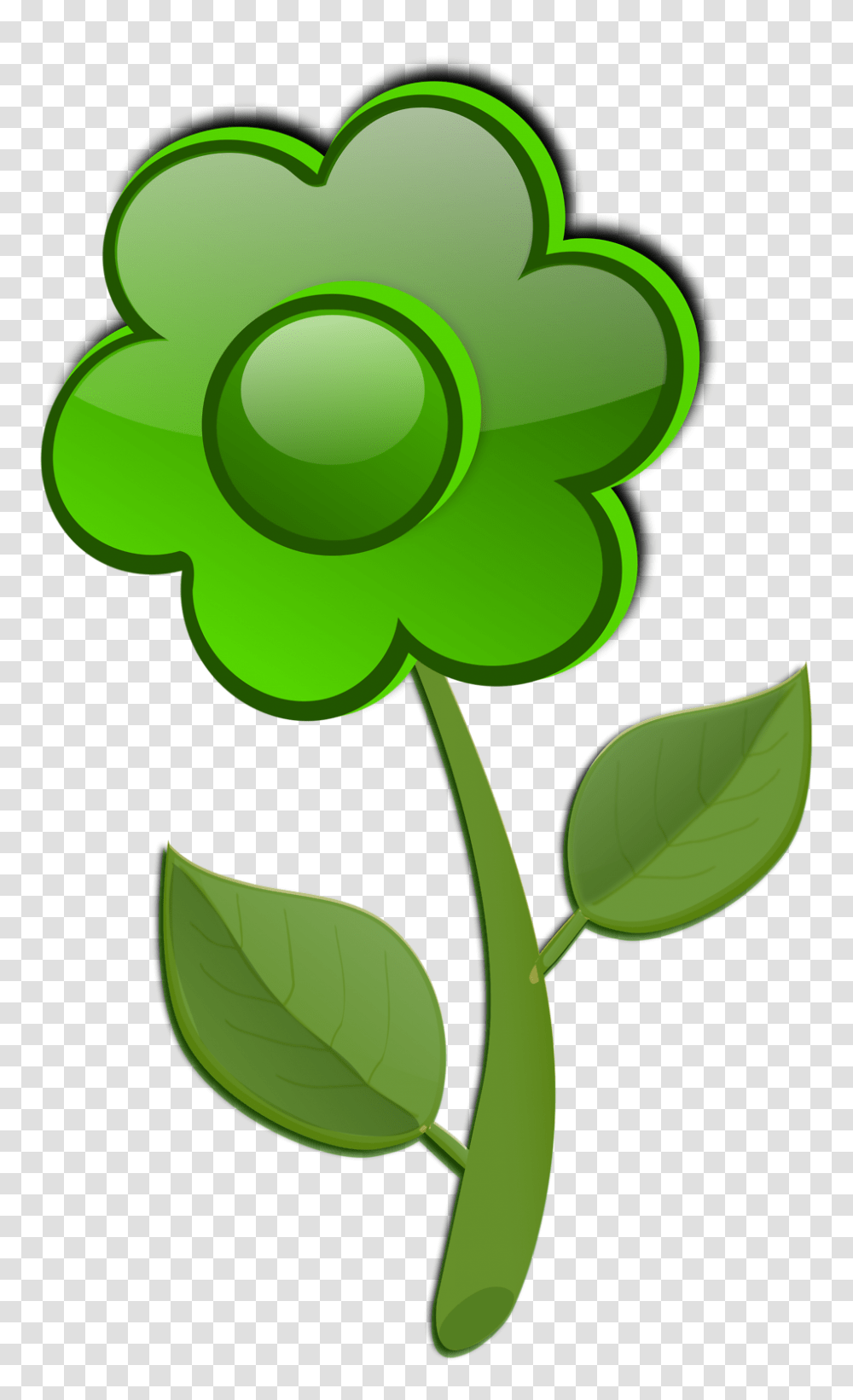 Miss Hutchinsons Classroom, Green, Plant, Leaf Transparent Png