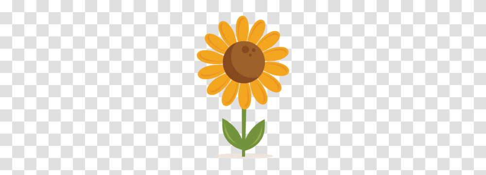 Miss Kate Cuttables Sunflower Svgs Cutting, Plant, Blossom, Petal, Daisy Transparent Png