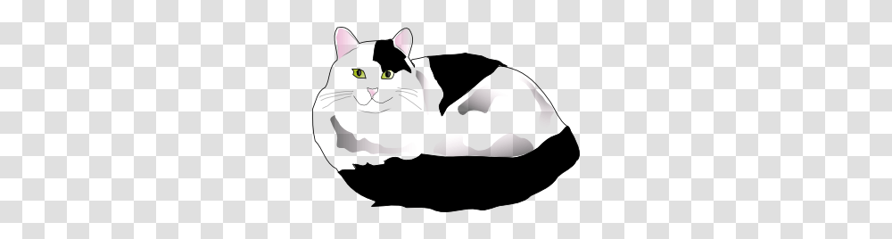 Missiridia Black And White Fluffy Cat Clip Art, Pillow, Cushion, Pet, Mammal Transparent Png