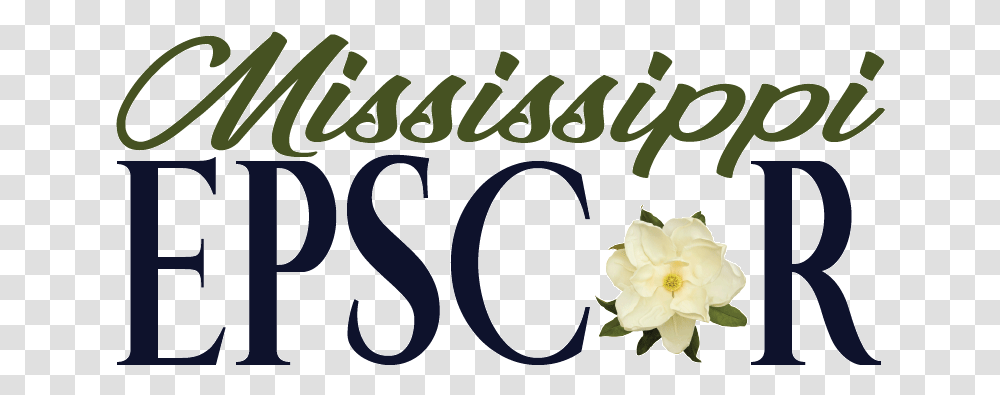 Mississippi Epscor Program State University Magnolia Flower, Text, Calligraphy, Handwriting, Alphabet Transparent Png