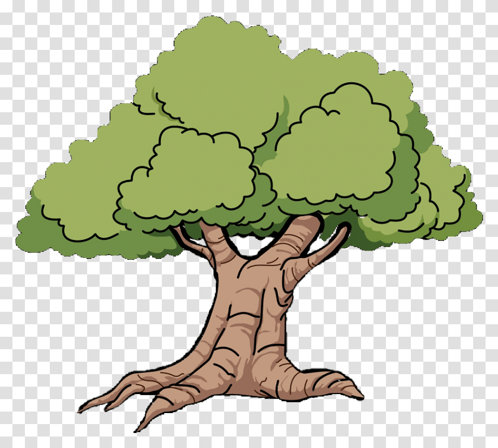 Mississippi Outline Oak Grove Clip Art Cartoon Oak Tree, Plant, Root, Vegetable, Food Transparent Png