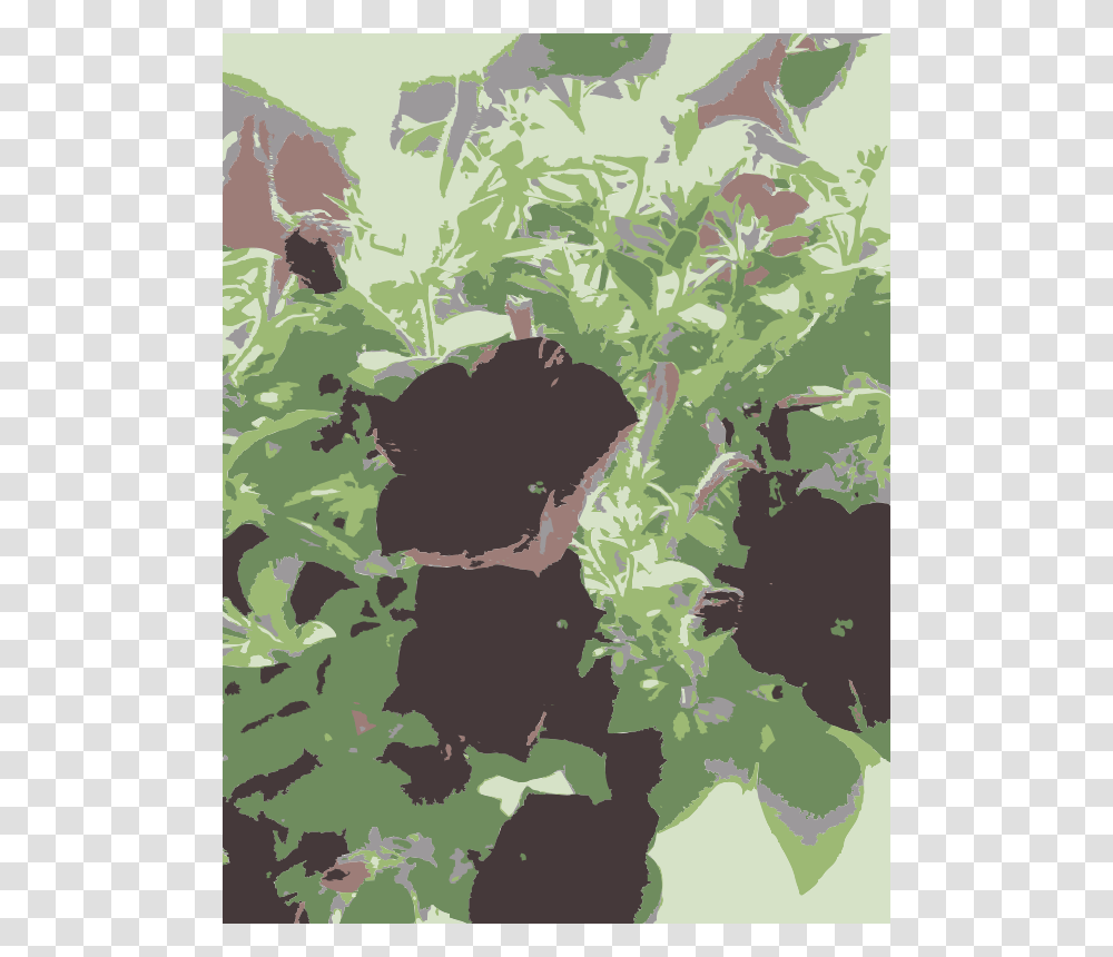 Missouri Aiflowers, Nature, Vegetation, Plant, Bush Transparent Png