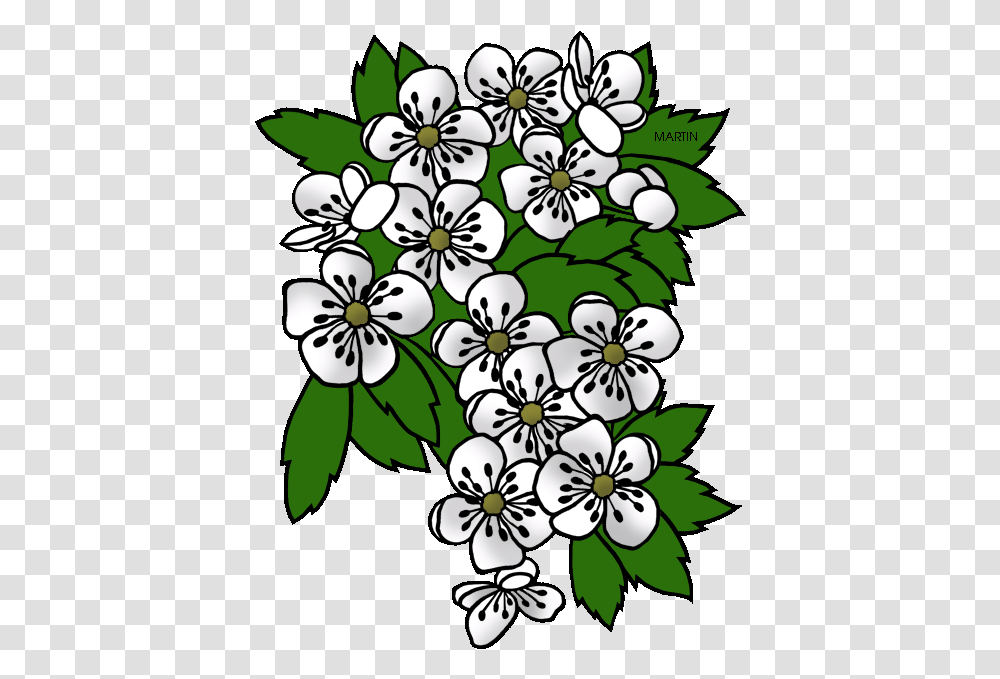 Missouri State Flower Drawing Missouri State Flower, Floral Design, Pattern Transparent Png