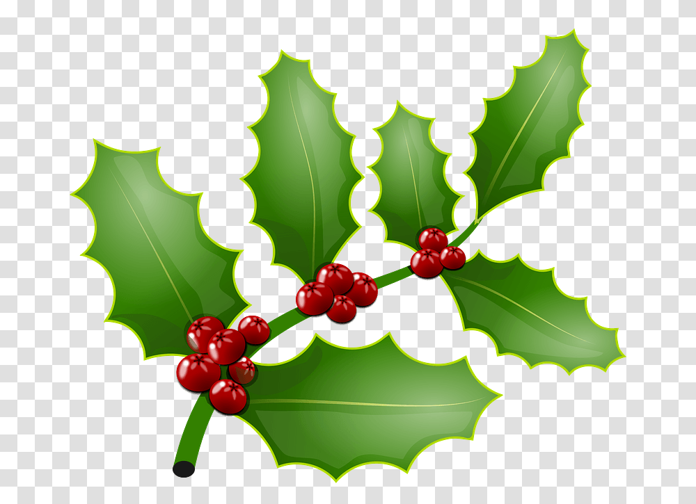 Mistletoe And Holly The Same Thing, Leaf, Plant, Fruit, Food Transparent Png