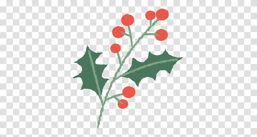 Mistletoe Branch Christmas Illustration Ramas De Navidad, Leaf, Plant, Flower, Blossom Transparent Png