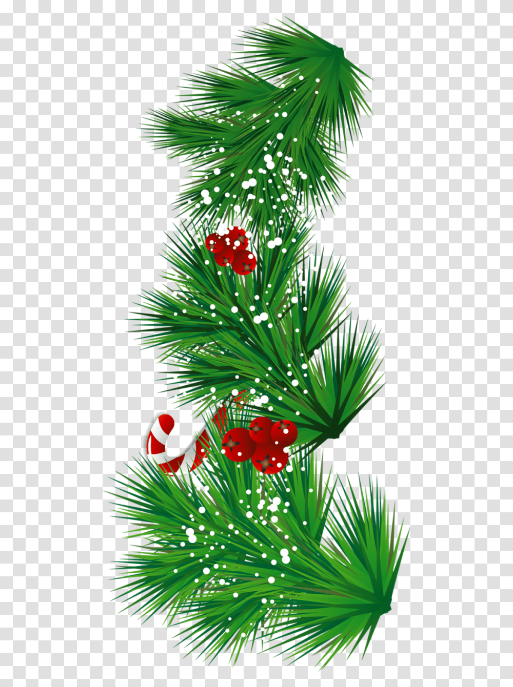 Mistletoe Clipart Christmas Tree Hierva, Nature, Plant, Outdoors, Bush Transparent Png