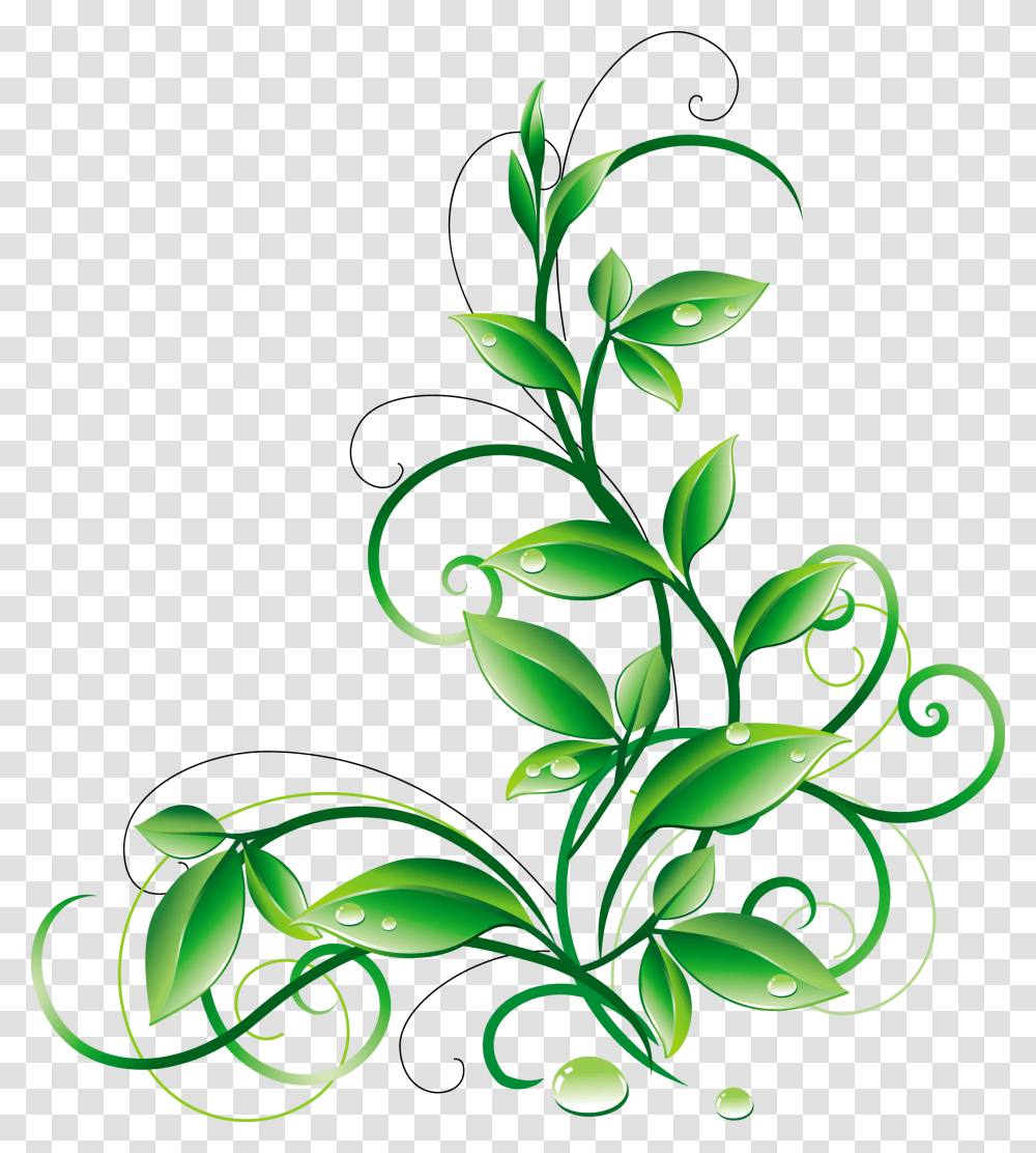 Mistletoe Clipart Green Floral Vector, Floral Design, Pattern, Plant Transparent Png