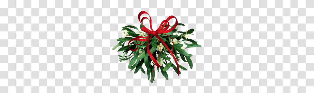 Mistletoe Clipart Look, Plant, Ornament, Tree, Flower Transparent Png