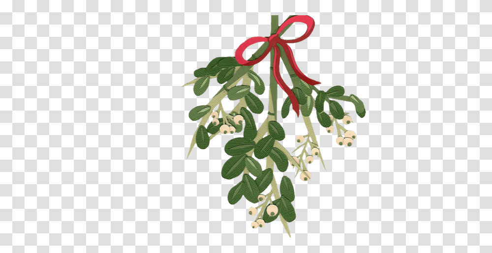 Mistletoe Cliparts Christmas Flower Watercolor, Plant, Tree, Blossom, Acanthaceae Transparent Png