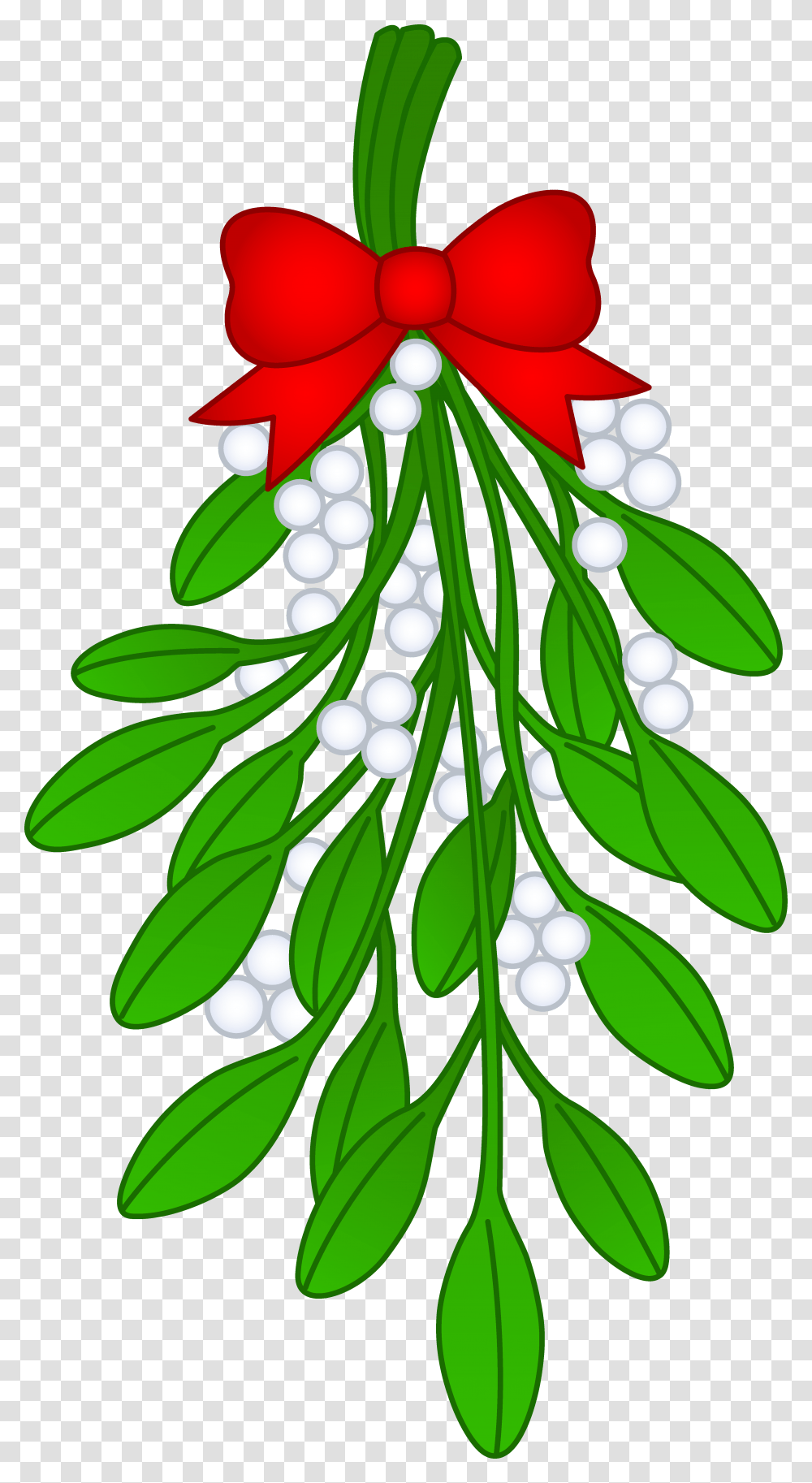 Mistletoe Cliparts, Plant, Tree, Flower, Blossom Transparent Png