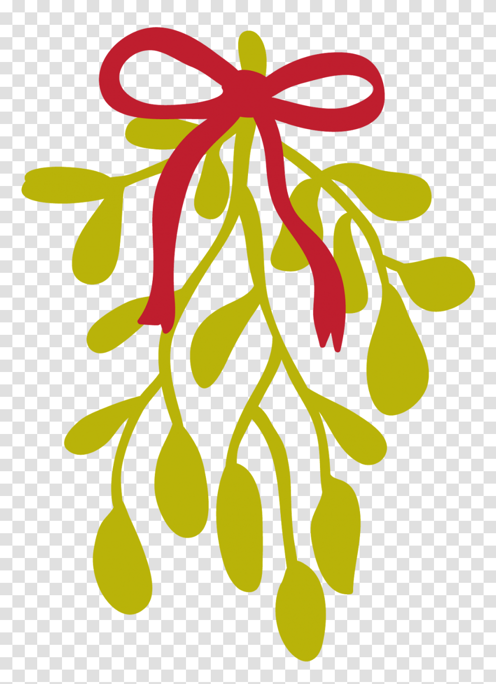 Mistletoe Common Holly Leaf Clip Art, Plant, Flower, Blossom, Pattern Transparent Png
