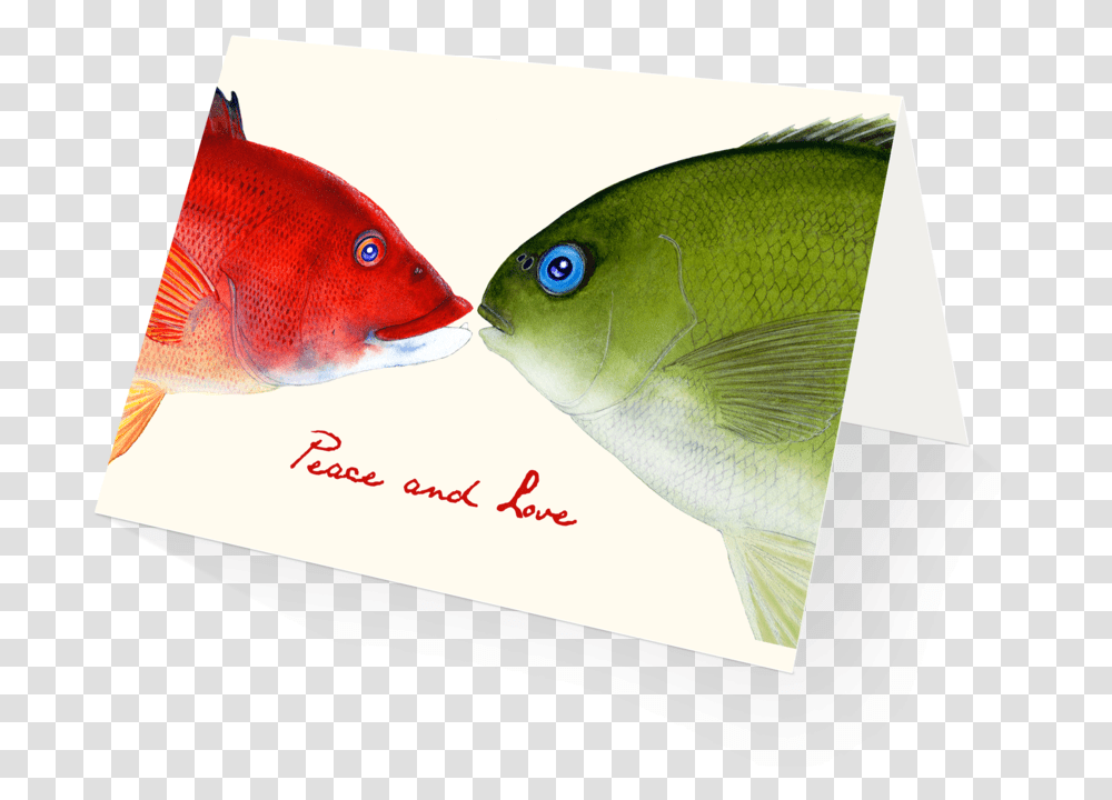Mistletoe Fish Holiday Card Pomacentridae, Animal, Sea Life, Bird, Water Transparent Png