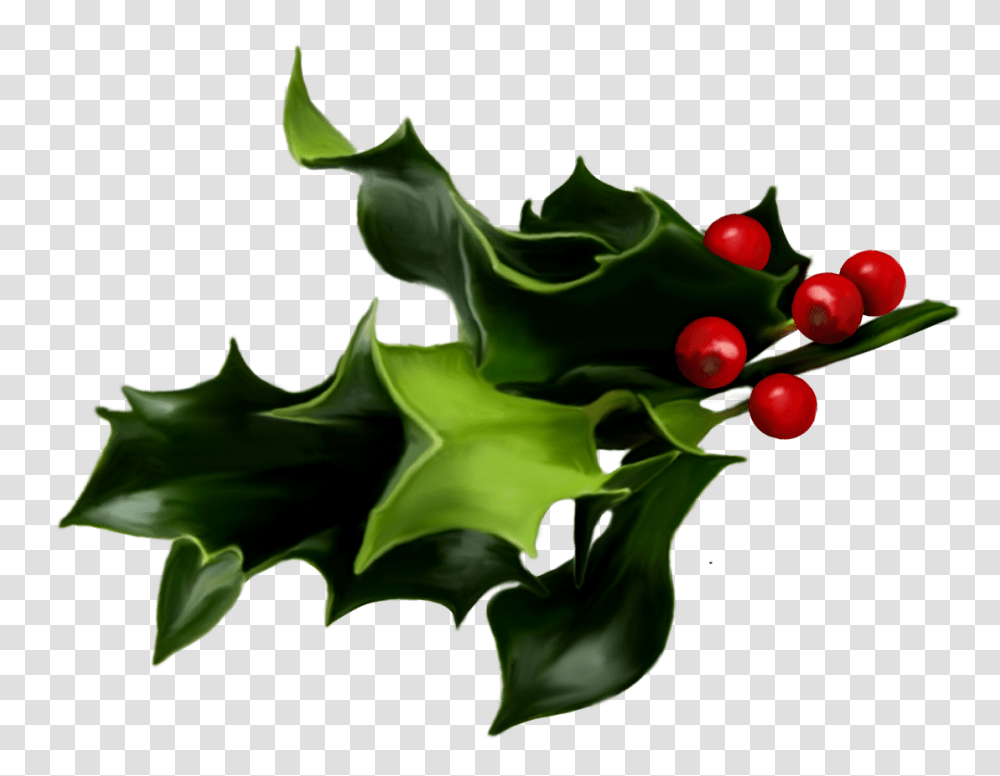 Mistletoe, Poster, Advertisement Transparent Png