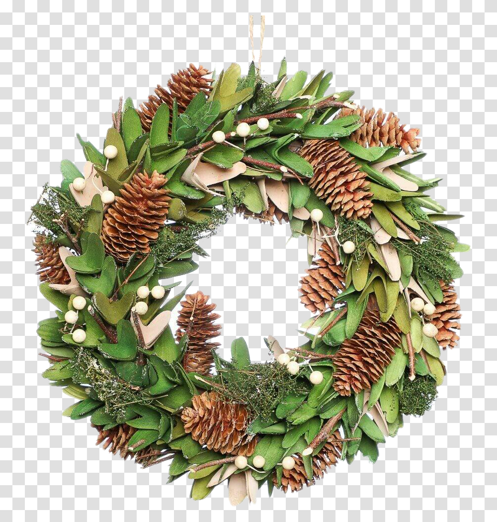 Mistletoe Images All Wreath, Fungus Transparent Png
