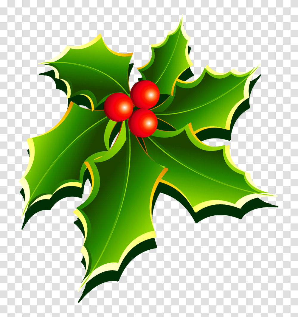 Mistletoe, Leaf, Plant, Tree Transparent Png