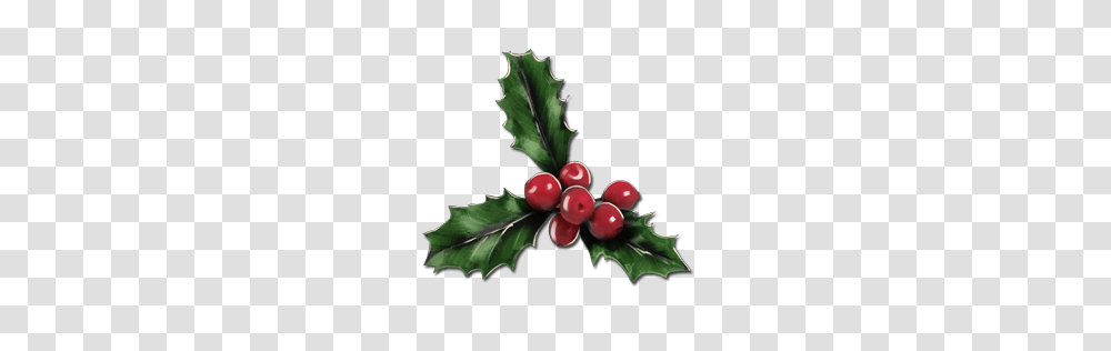 Mistletoe, Plant, Leaf, Fruit, Food Transparent Png