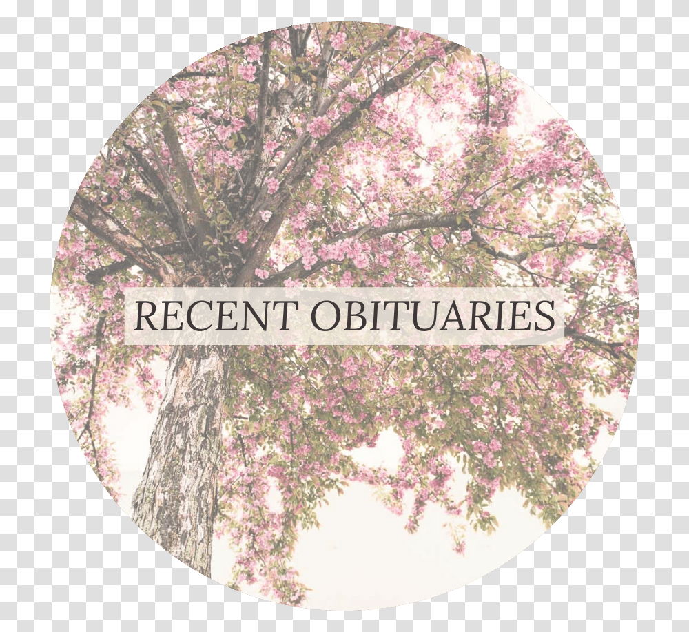 Mitchell Funeral Homes Circle, Plant, Flower, Blossom, Tree Transparent Png