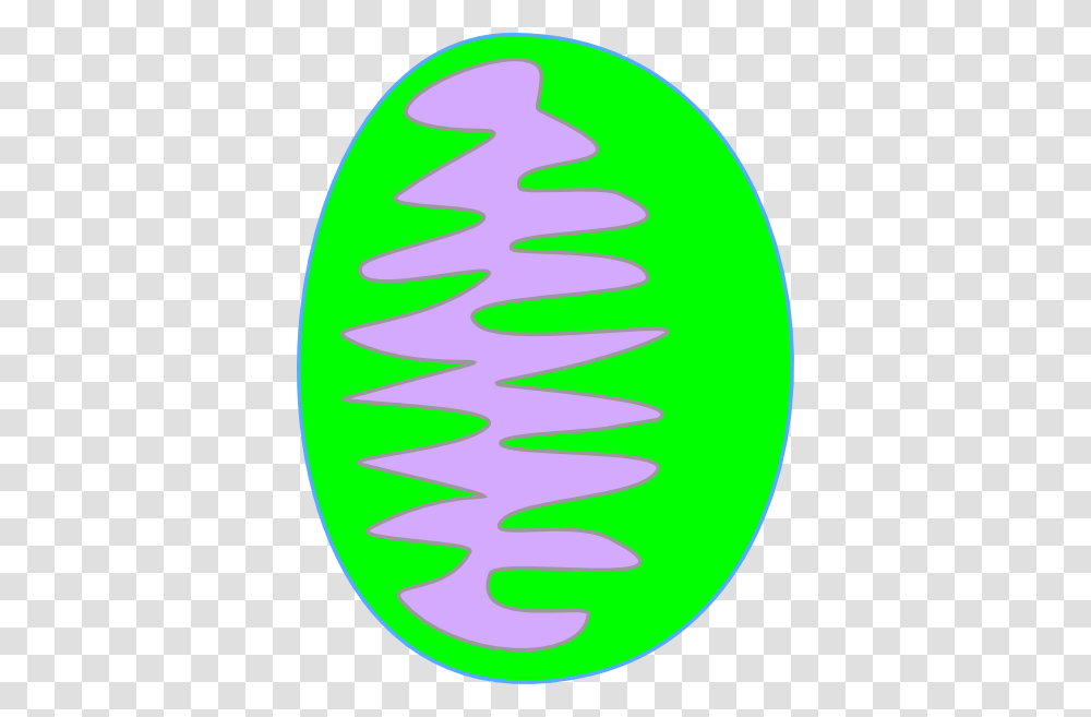 Mitochondria Green Clip Art, Spiral, Coil, Egg Transparent Png