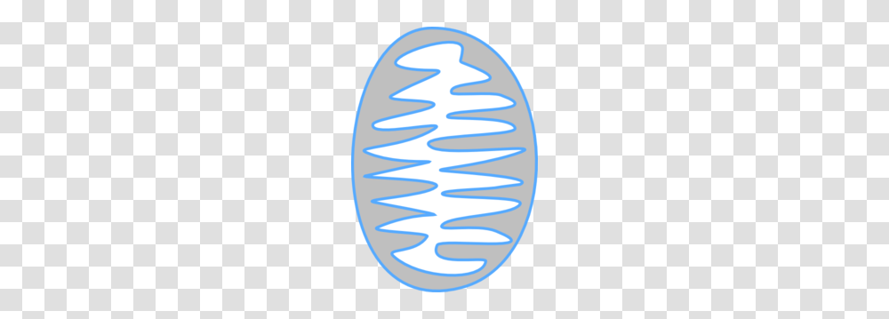 Mitochondria, Spiral, Coil, Water, Sea Waves Transparent Png