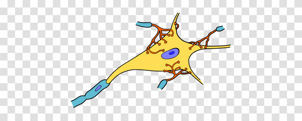 Mitochondrion Plant Cell Organelle Drawing, Apparel, Shoe, Footwear Transparent Png