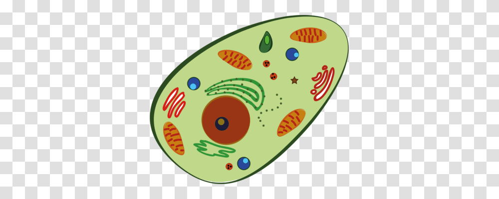 Mitochondrion Plant Cell Organelle Drawing, Egg, Food, Outdoors, Plectrum Transparent Png