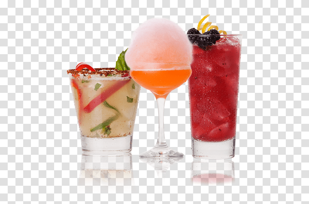 Mix Drink, Cocktail, Alcohol, Beverage, Potted Plant Transparent Png