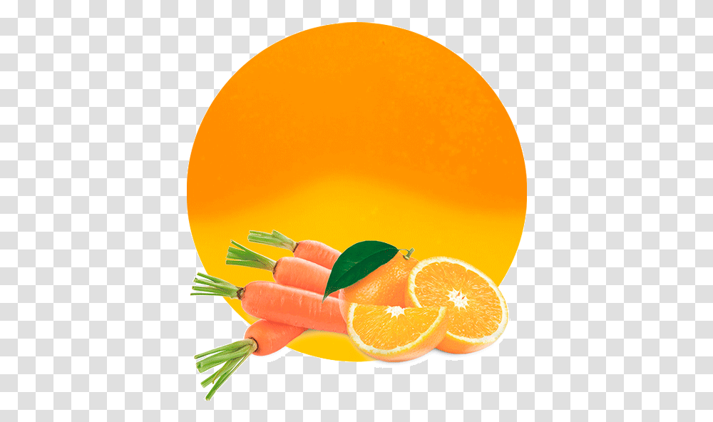 Mix Orange Veggies Fruit Compound Clementine, Plant, Juice, Beverage, Drink Transparent Png