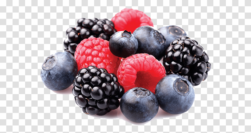 Mixed Berries, Blueberry, Fruit, Plant, Food Transparent Png
