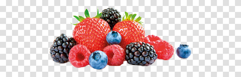 Mixed Berry Ultra Orange Foods Mixed Berries, Plant, Raspberry, Fruit, Blueberry Transparent Png