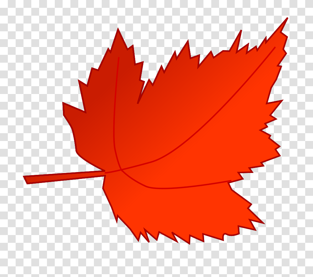 Mixed Leaf Clip Arts For Web, Plant, Maple Leaf, Tree Transparent Png