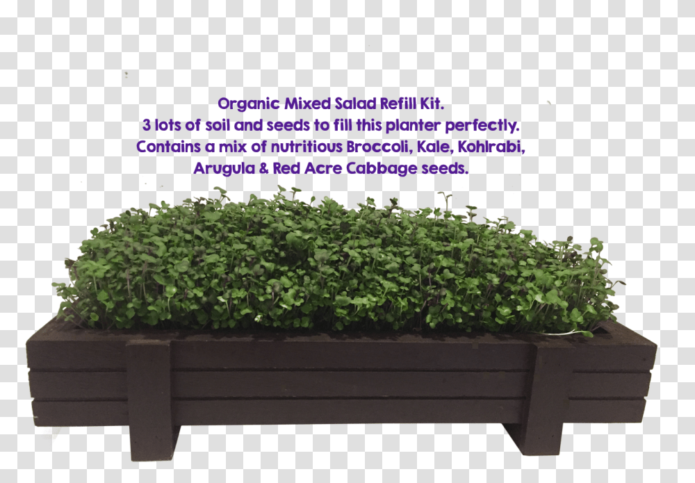 Mixed Microgreens Planter 3 Pack Refill Houseplant, Potted Plant, Vase, Jar, Pottery Transparent Png
