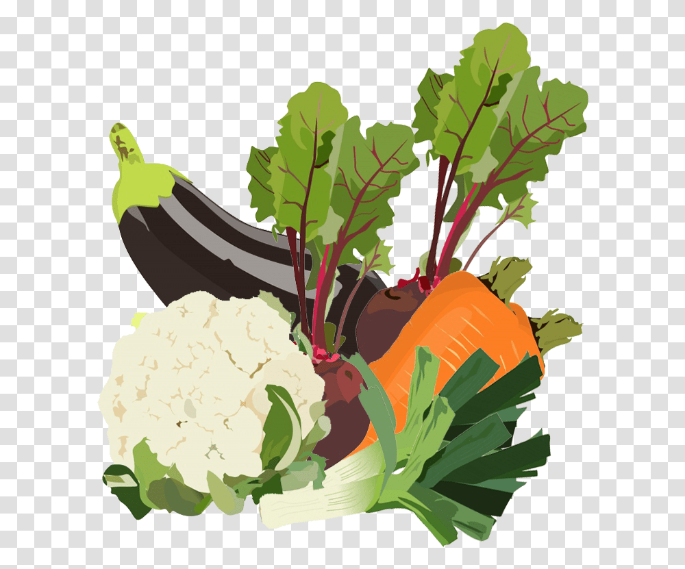 Mixed Vegetables Clipart Leaf Vegetable, Plant, Food, Produce, Cauliflower Transparent Png