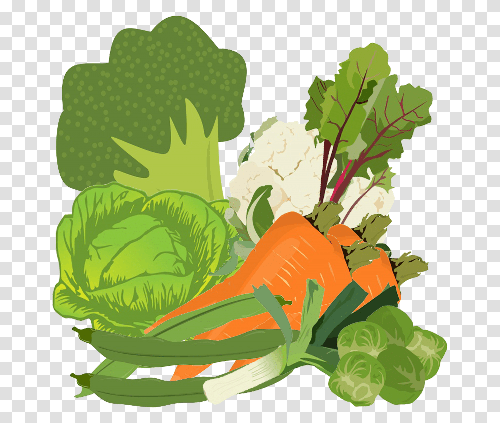 Mixed Vegetables Image Cabbage Clipart, Plant, Food, Produce, Cauliflower Transparent Png