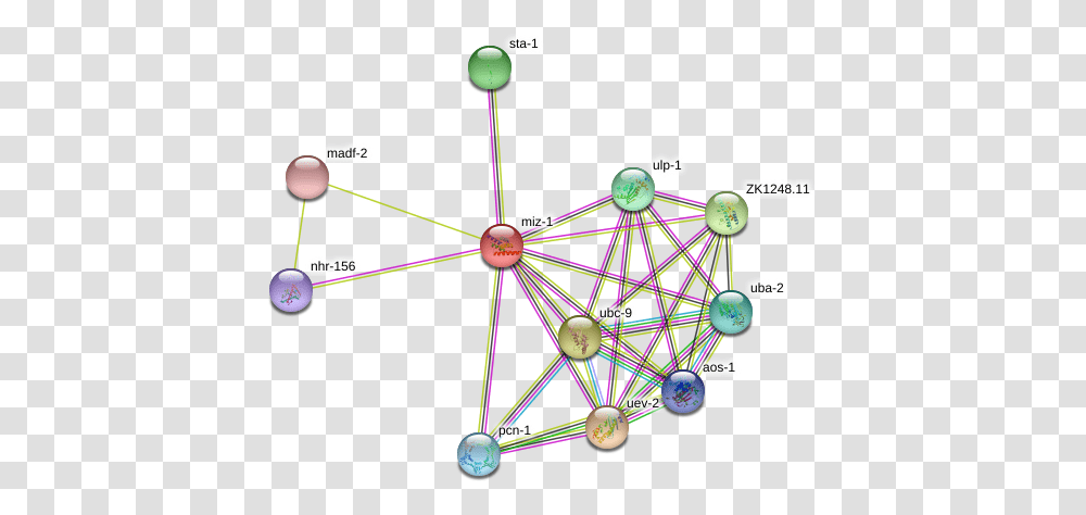 Miz 1 Protein Circle, Network, Chandelier, Lamp, Sphere Transparent Png
