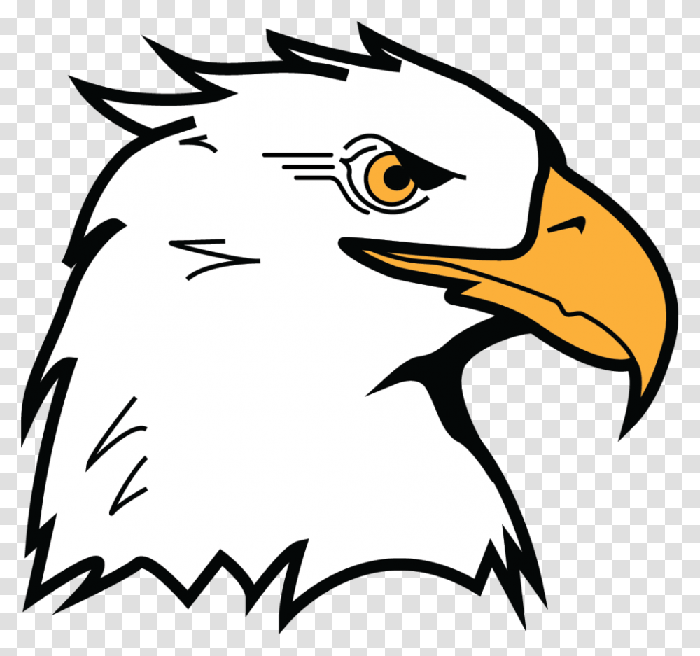 Mk Eagle Head, Bird, Animal, Beak, Bald Eagle Transparent Png