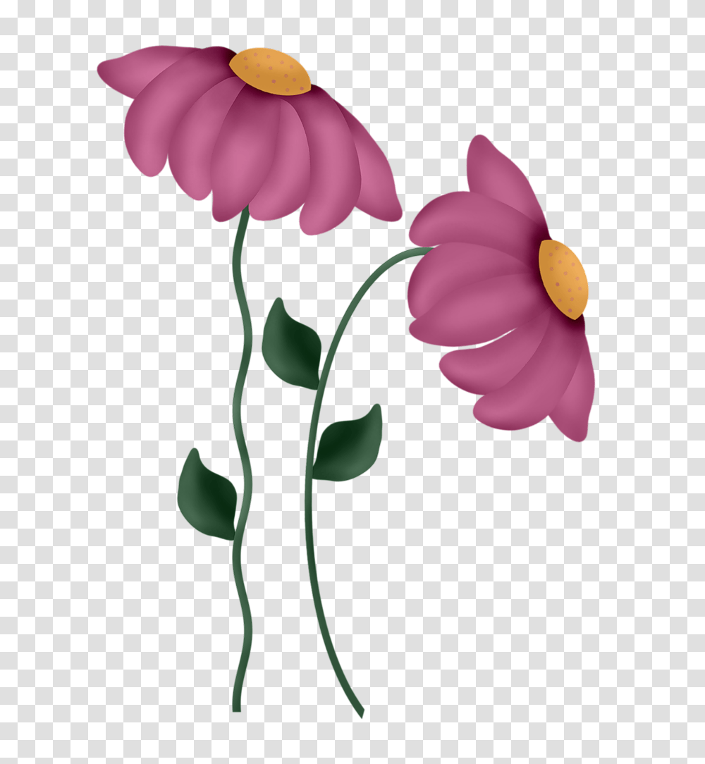 Mlc What May Be Flowers Clip Art, Plant, Petal, Blossom, Daisy Transparent Png