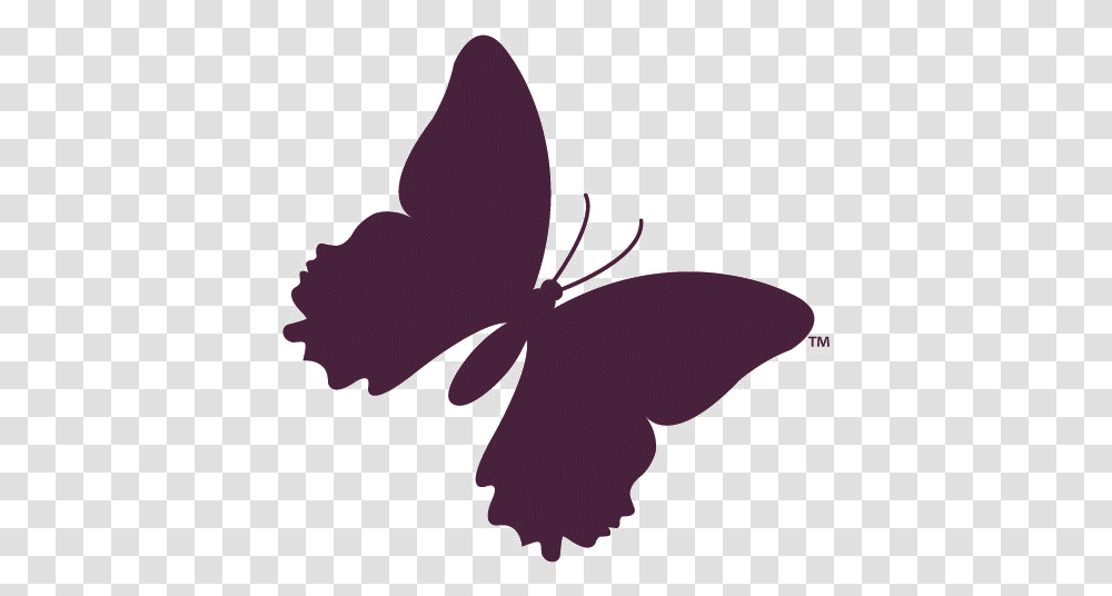 Mld Foundation Purple Butterfly, Plant, Flower, Blossom, Maroon Transparent Png