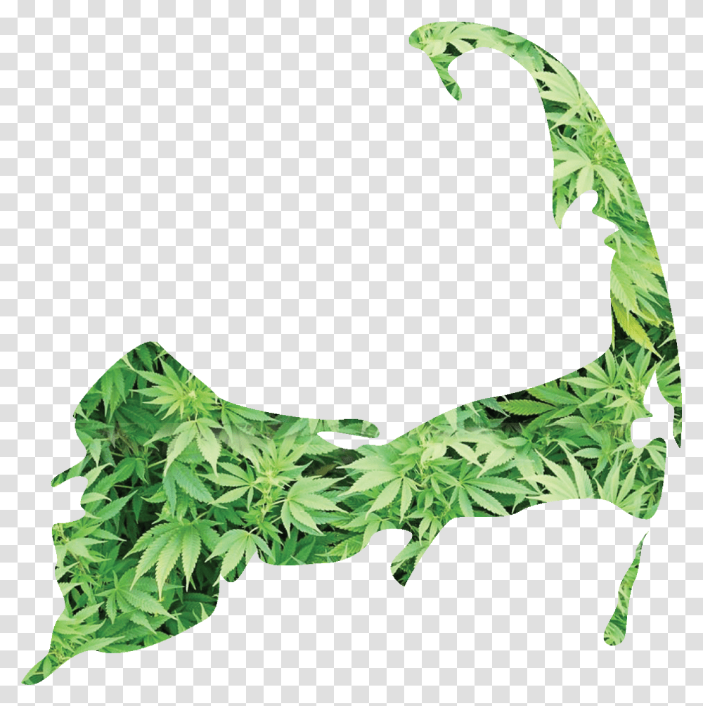 Mlg Joint Marijuana Background, Accessories, Plant, Green, Leaf Transparent Png