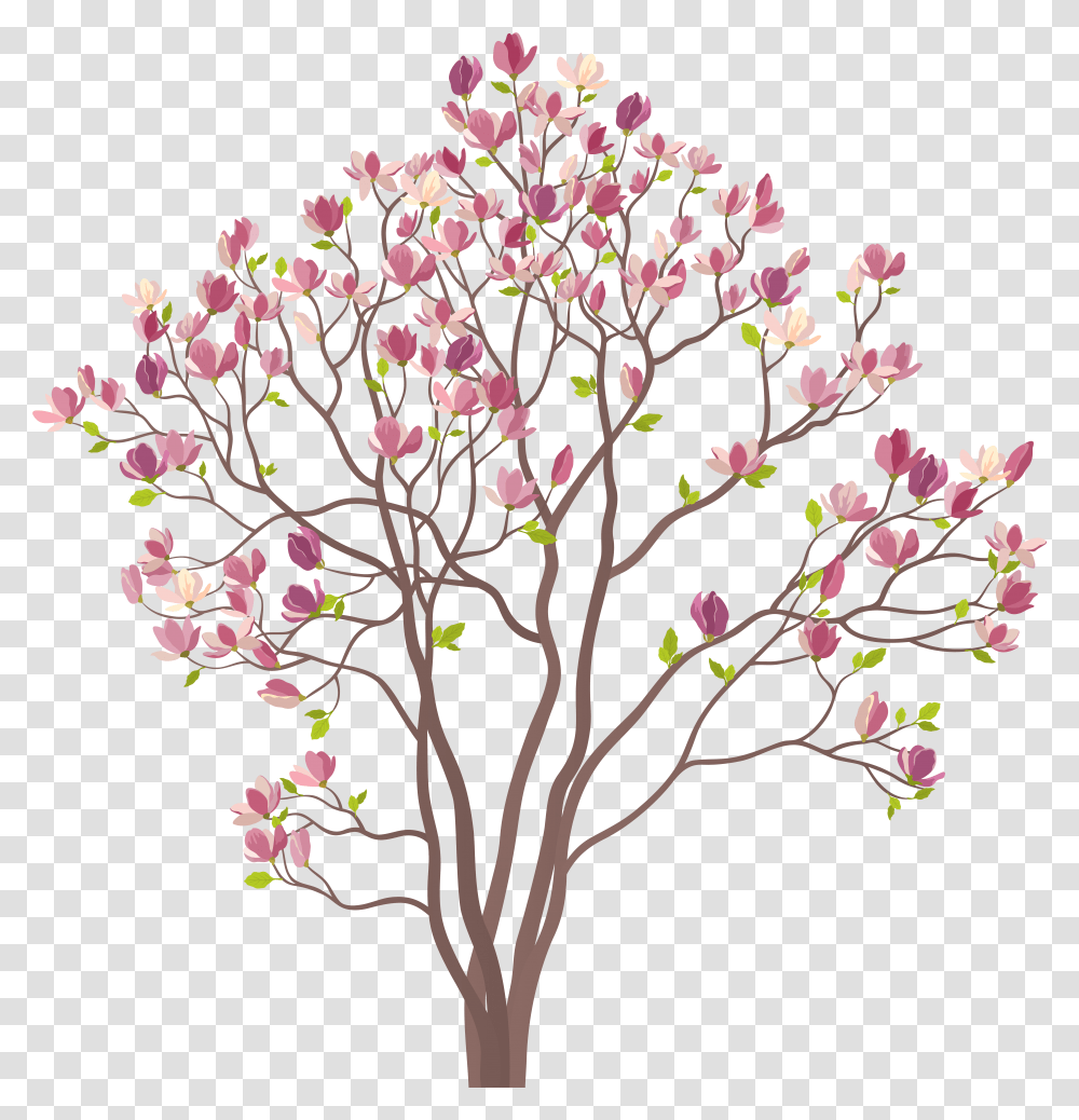 Mmagnolia Tree Clip Art Image Cartoon, Plant, Cherry Blossom, Flower, Graphics Transparent Png