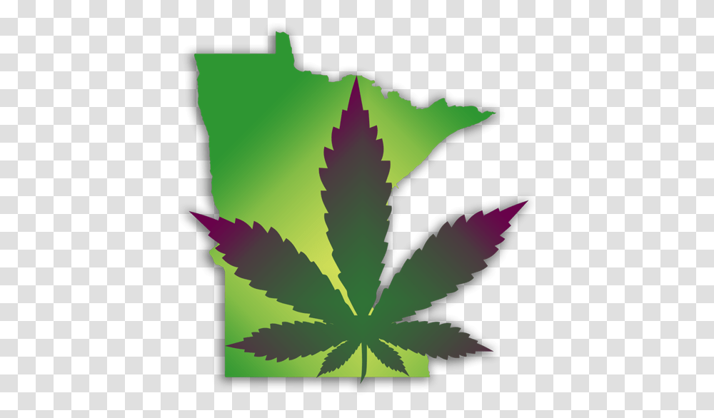 Mn Campaign For Full Legalization Legalize Cannabis, Plant, Leaf, Weed, Bird Transparent Png