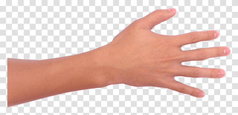 Mo, Hand, Wrist, Person, Human Transparent Png