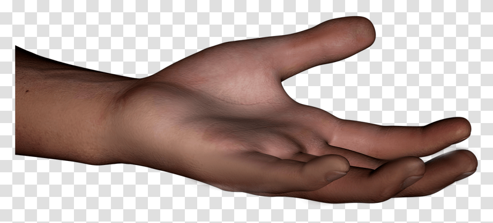 Mo, Person, Human, Hand, Finger Transparent Png