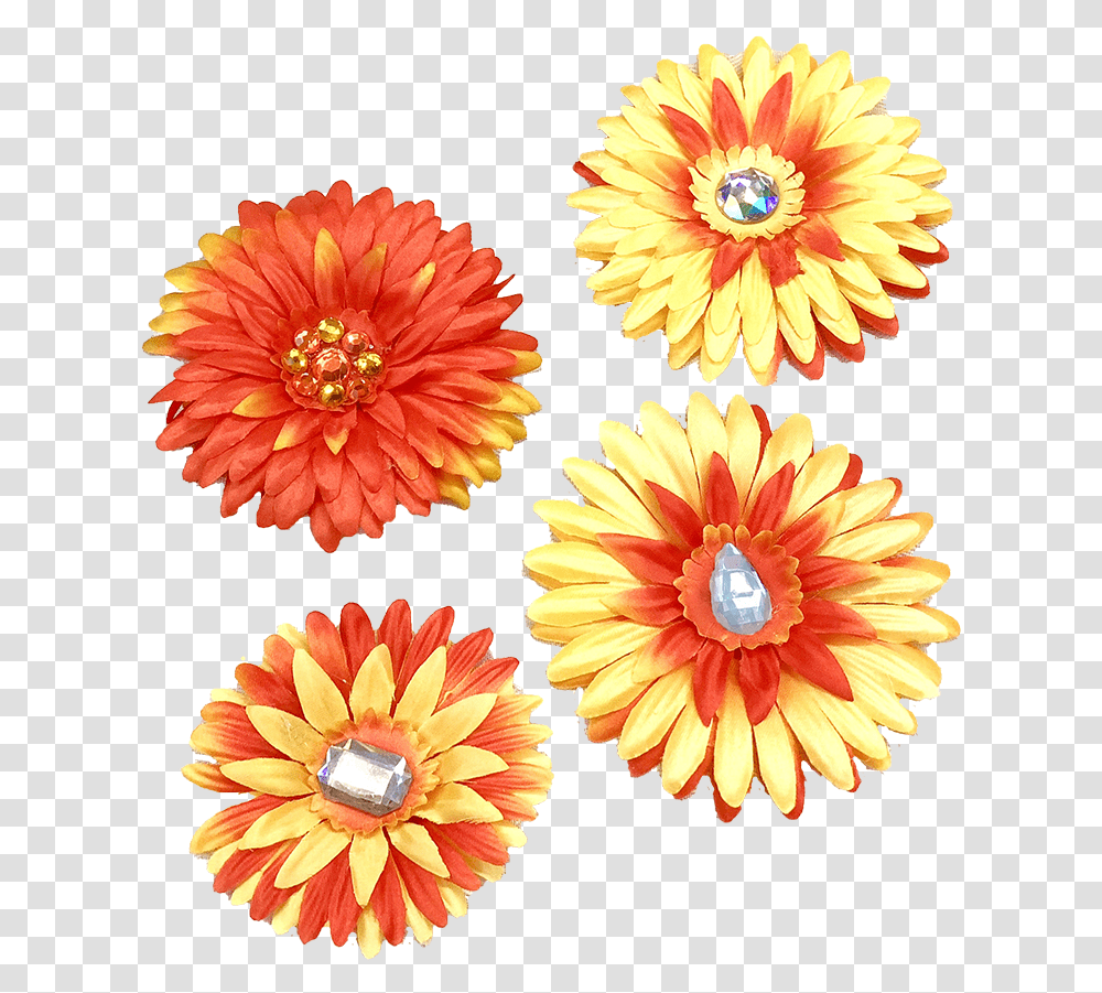 Moana Clip Art Pink Tropical Flower Lovely, Dahlia, Plant, Anther, Asteraceae Transparent Png