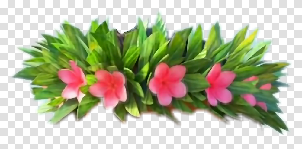 Moana Clipart Flower Crown Moana Flower Crown, Plant, Blossom, Flower Arrangement, Flower Bouquet Transparent Png