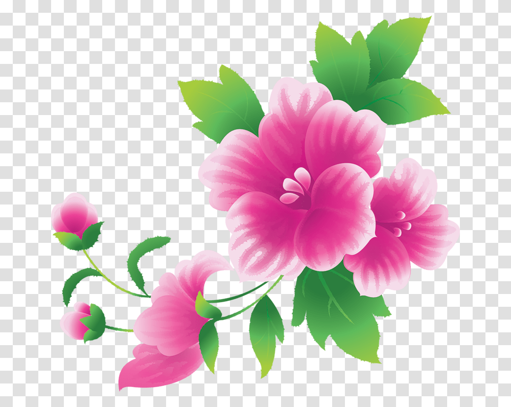 Moana Flower Clip Art Vector, Hibiscus, Plant, Blossom Transparent Png