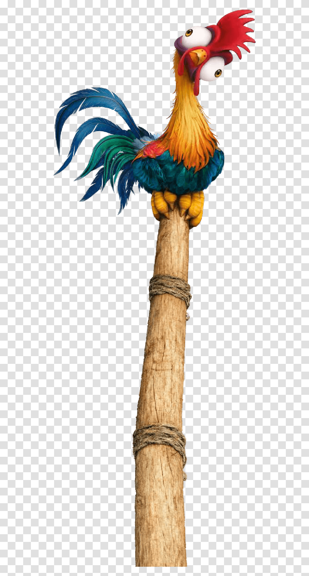 Moana Macaw, Animal, Tree, Plant, Jay Transparent Png